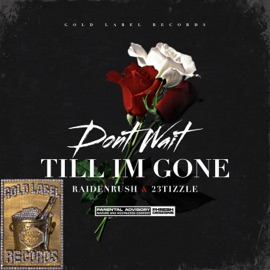 Dont Wait Till Im Gone (feat. 23TIZZLE) Raidenrush