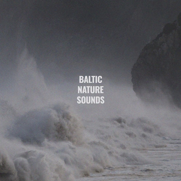 Still Waves - EP