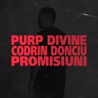 Promisiuni (feat. Codrin Donciu) - Single - Purp Divine & Codrin Donciu