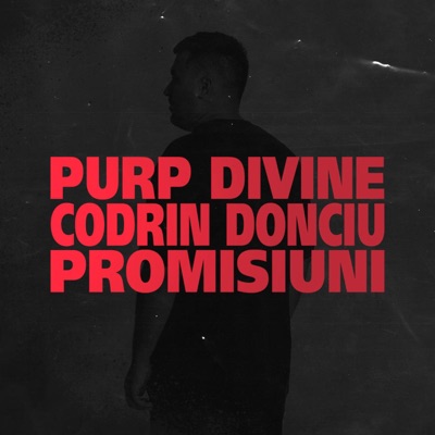 Promisiuni (feat. Codrin Donciu) - Single