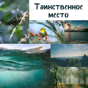 Таинственное место: Самая расслабляющая музыка, Волны, Птицы, Вода, Тропики, Райское наслаждение, Глубокий релакс, Невесомость, Умиротворяющие песни, Боли нет