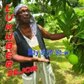 Velo Avata