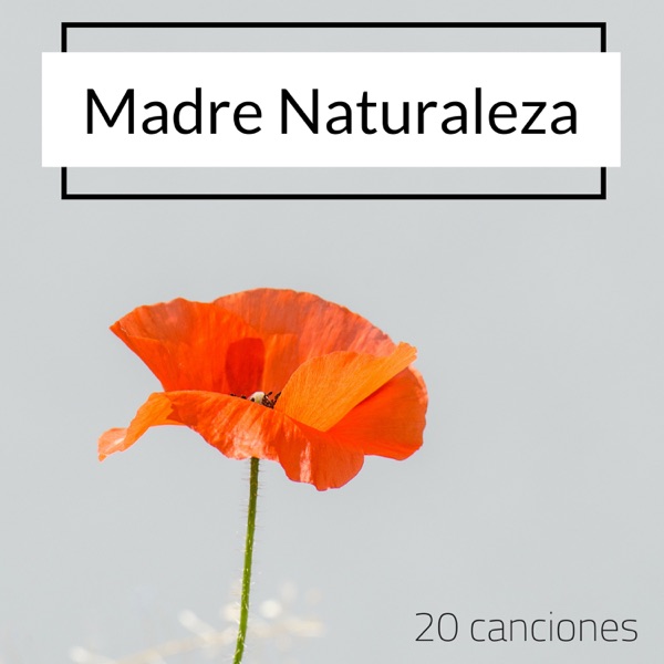 Madre Naturaleza: 20 Canciones - Terapia Músical Natural Ejercicio Relajación y Meditación Profunda
