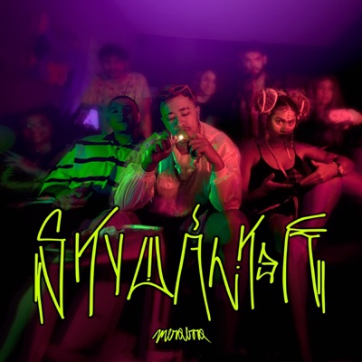 Skywalk3R - Single
