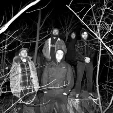 Tarpan dinle, müzik videolarını izle, biyografisini oku, tur tarihlerini ve daha fazlasını gör!