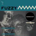 Fuzzy