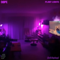 Plant Lights - Single - DØPE