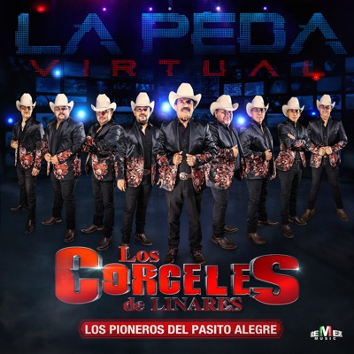 La Peda Virtual - Single