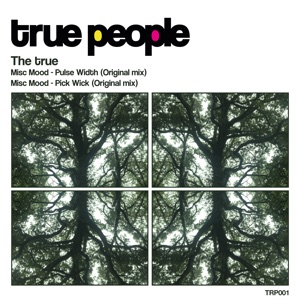 The True - Single