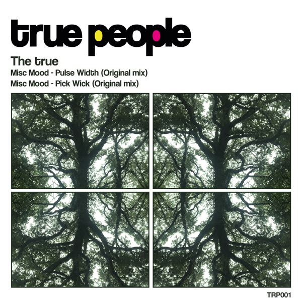 The True - Single