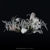 Phenomena artwork