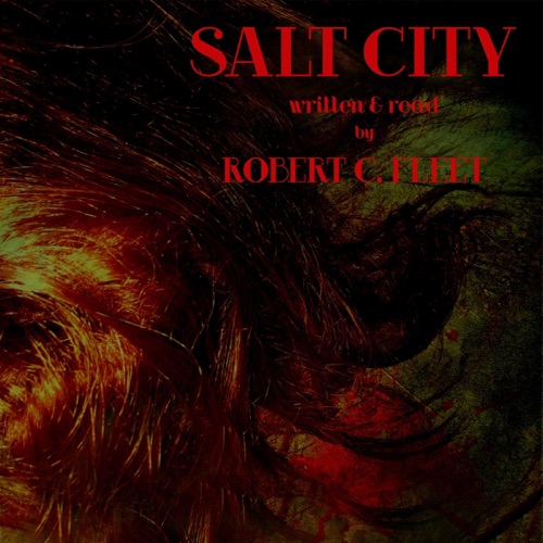 Salt City (Unabridged) cover