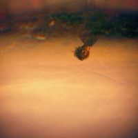 Teplo Tvojich Pier - Single - Lu