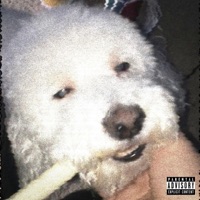 PETCO (feat. Novii) - Single - Frio Gio