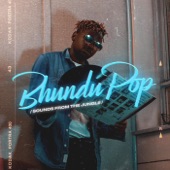 Bundu Pop Sounds From the Jungle artwork