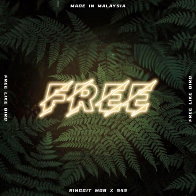 Free (Feat. 543) - Single