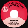 Can't You See (That I Really Love Her) / Hold on to My Mind - Single