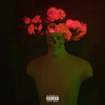 XTCY (feat. miiro) - Single