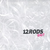 12 Rods - Revolute