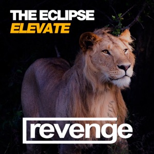 Elevate - Single