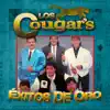 La Última Canción