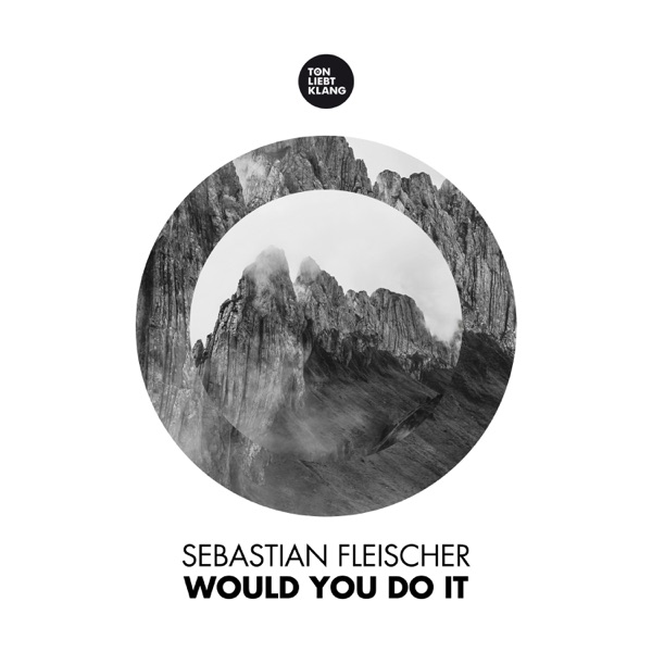 Would You Do It - Single