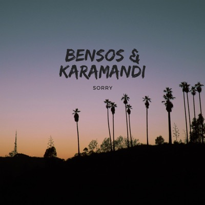 Sorry (feat. Karamandi) - Single