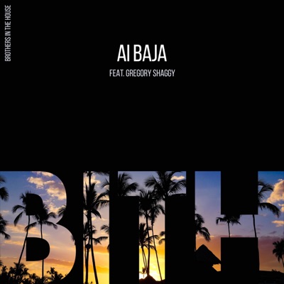 Ai Baja (feat. Gregory Shaggy) - Single