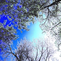 Better Days - Single - Jesse Good