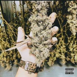 Fazendeiro (feat. GY) OG Gibson & Vulgo PP