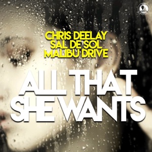 All That She Wants - Single