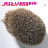 I Will Survive - Nils Landgren