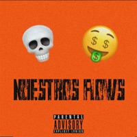 Nuestros Flows (feat. Drew Flame) - Single - Duck Castle