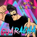HOTEL CALIFORNIA (REMIX)