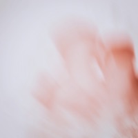 Started - Single - Rico