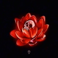 Born from Shade - Drew The Architect