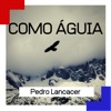 Como Águia