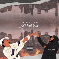 Sky Ain't Blue - Single - Bezzle & Los