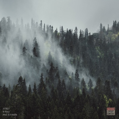 В дыму - Single