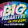 BIG PAAARTYY!! IN THE EDM mixed by DJ FUMI★YEAH! - Various Artists