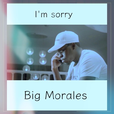 I'm Sorry - Single