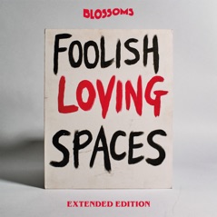 Foolish Loving Spaces (Extended Edition)