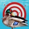Duck Hunter - SolidBoy lyrics