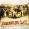 Veterano Del Cartel - Grupo Cartel lyrics
