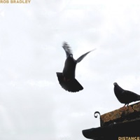 Distance - Single - Rob Bradley & Jack Flash
