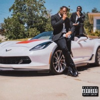 Professionals (feat. Mood D) - Single - Ace the Singer