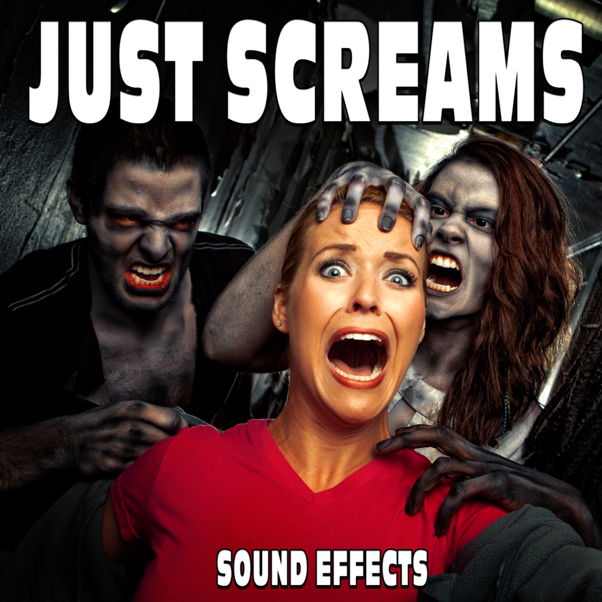 jiafei scream Best Sound Alert Memes