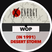 (In 1991) Desert Storm [Groove Mix] artwork