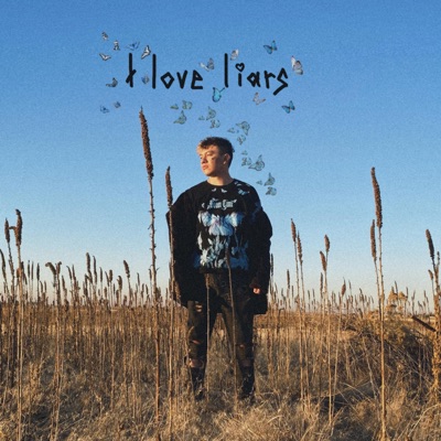 I Love Liars