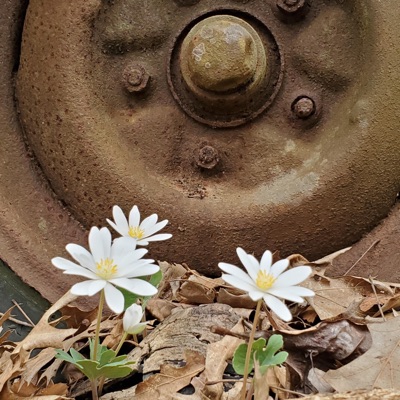 Tasting Paradise (feat. Thomas Hunter & Christopher Allen) - Single